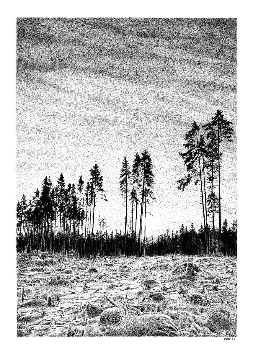 Talvipäivänseisaus - Image 2